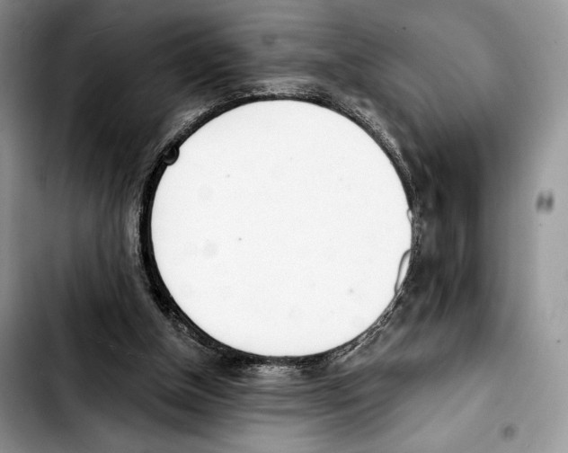 X0000103420154200810101027