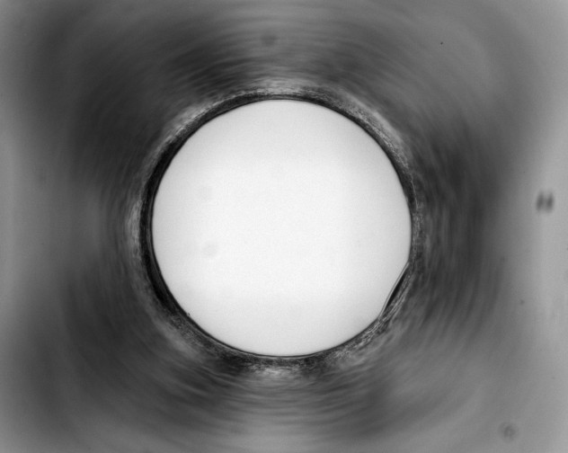X0000103420155200810101027