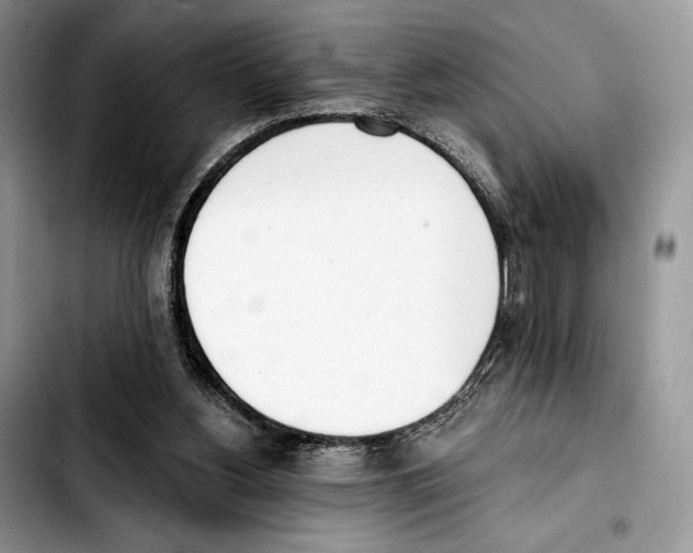 X0000103420156200810101027