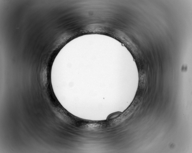 X0000103420158200810101027