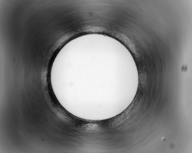 X0000103420159200810101027