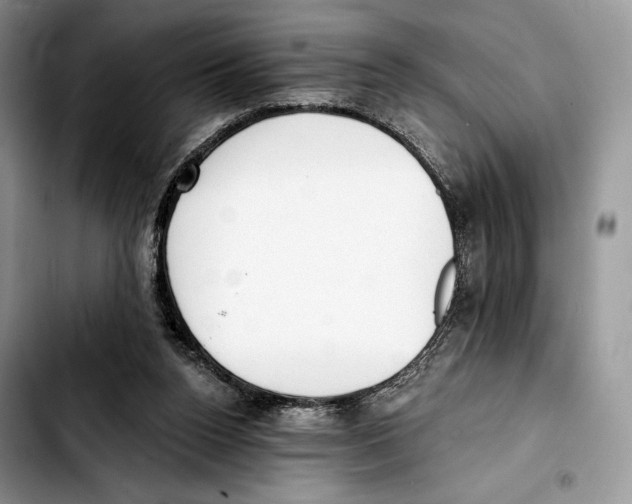 X0000103420160200810101027