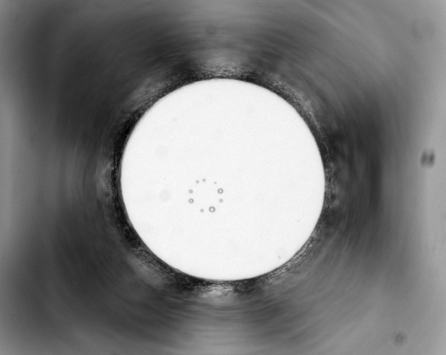 X0000103420162200810101027