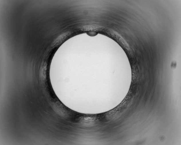 X0000103420163200810101027