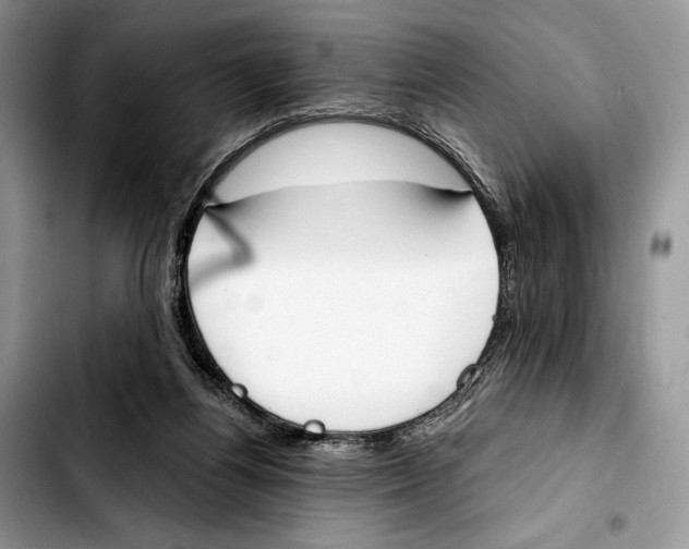 X0000103420164200810101027