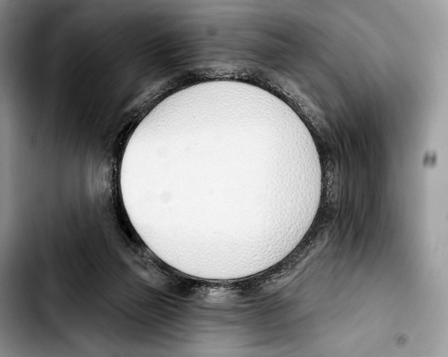 X0000103420165200810101027