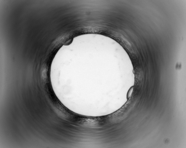 X0000103420166200810101027
