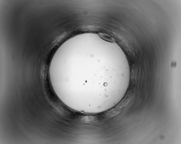 X0000103420168200810101027