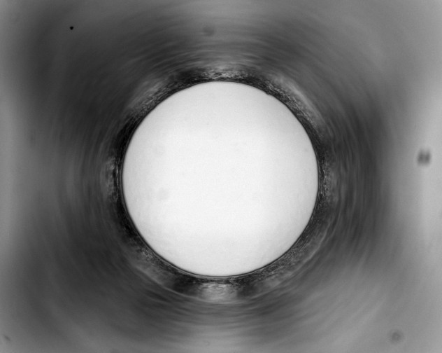 X0000103420169200810101027