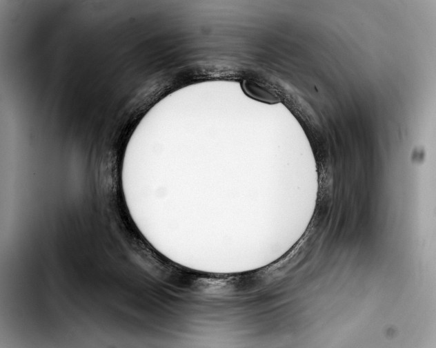 X0000103420170200810101027
