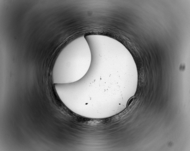 X0000103420172200810101027