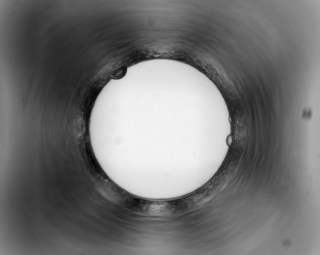 X0000103420173200810101027