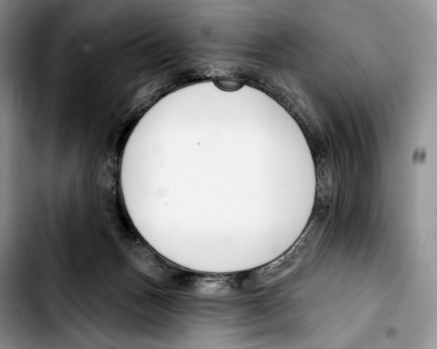 X0000103420175200810101027