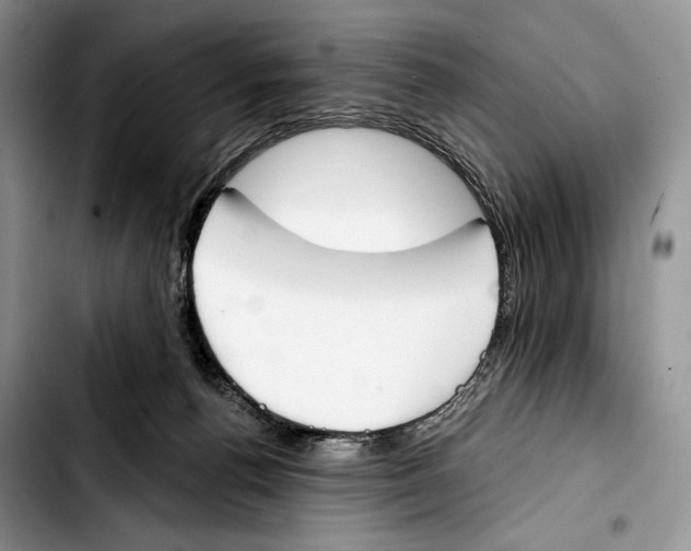 X0000103420176200810101027
