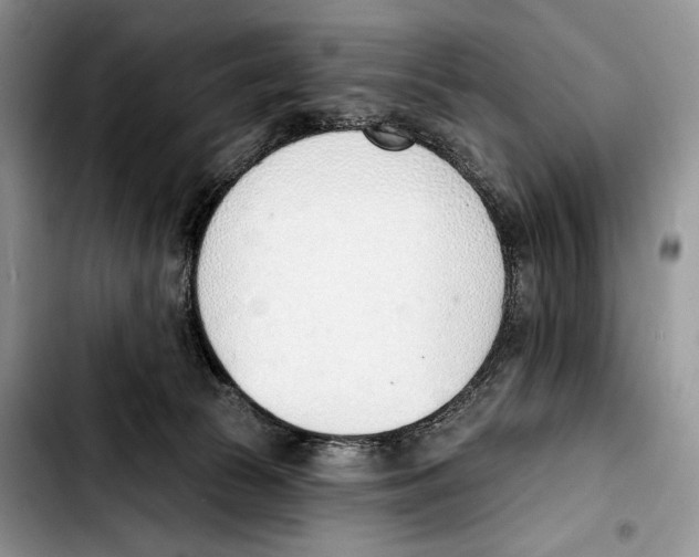 X0000103420177200810101027