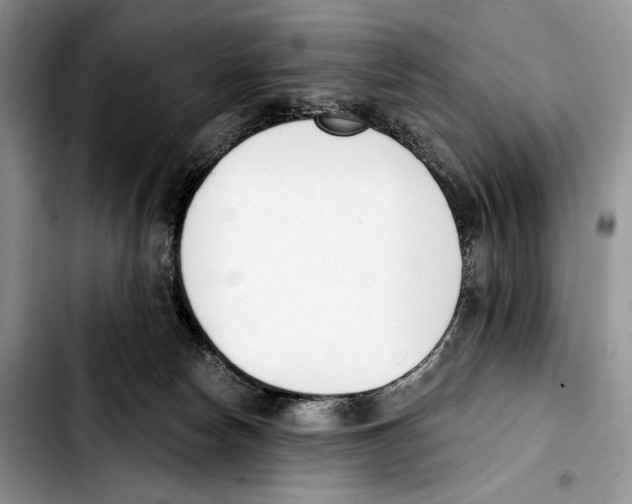 X0000103420178200810101027