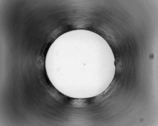 X0000103420179200810101027