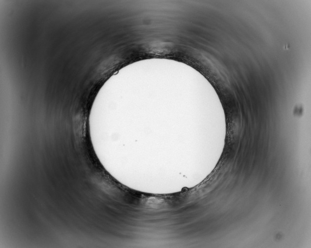 X0000103420180200810101027