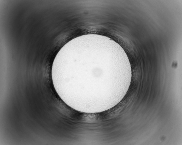 X0000103420181200810101027