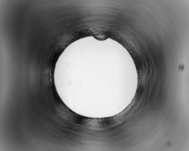 X0000103420182200810101027