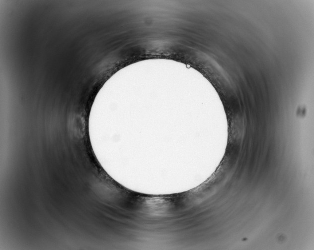 X0000103420183200810101027