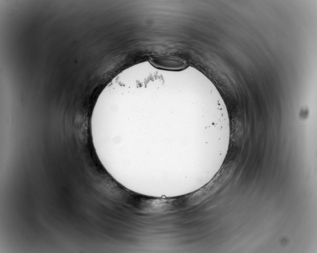 X0000103420184200810101027