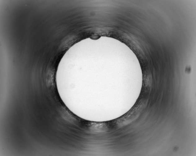 X0000103420185200810101027