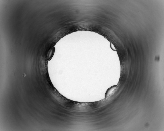 X0000103420186200810101027