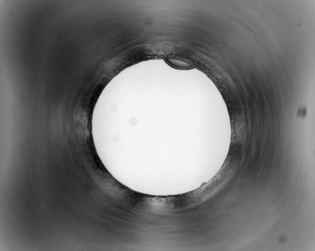 X0000103420187200810101027