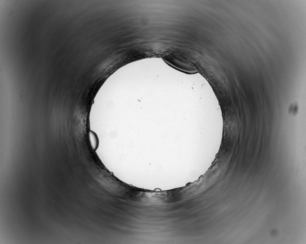X0000103420188200810101027