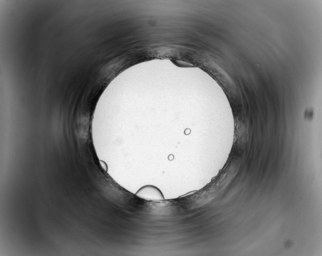 X0000103420189200810101027