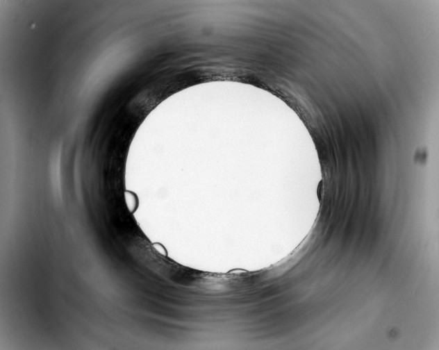 X0000103420190200810101027