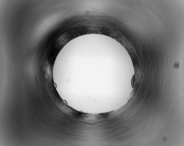 X0000103420191200810101027