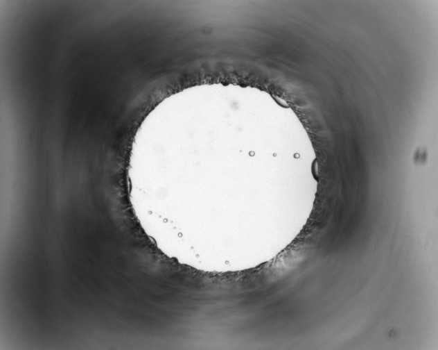X0000103420192200810101027