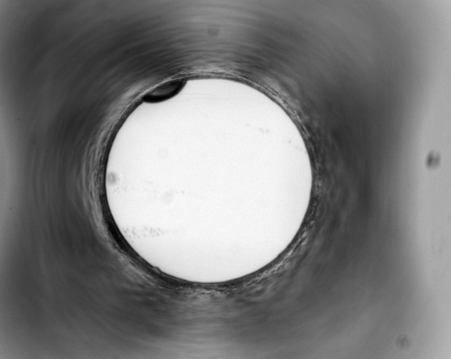X0000103420193200810101026