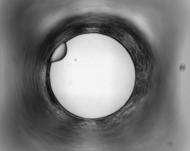 X0000103420194200810101026