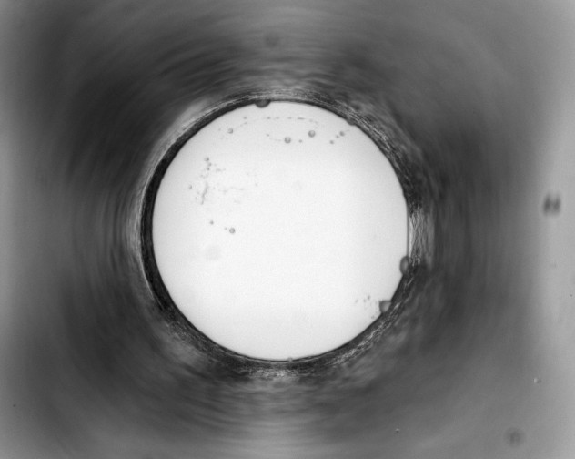 X0000103420195200810101026