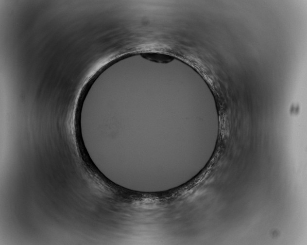 X0000103420196200810101026