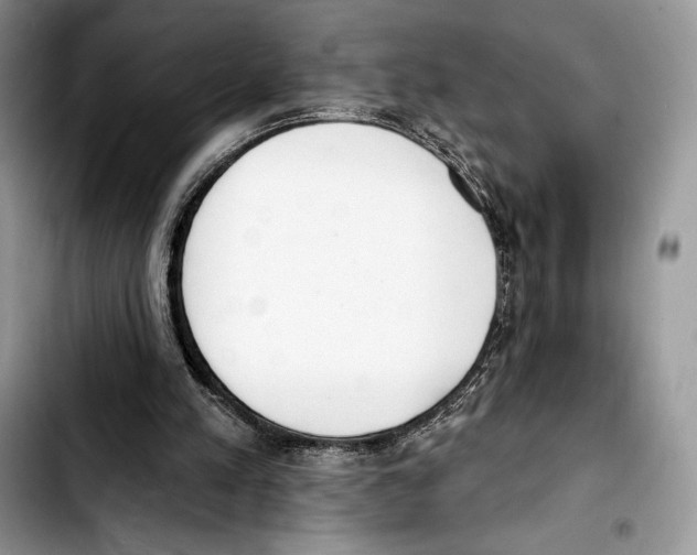 X0000103420197200810101026