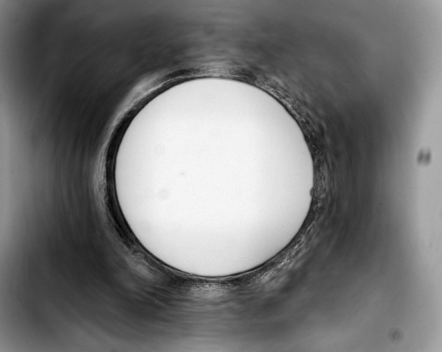 X0000103420198200810101026
