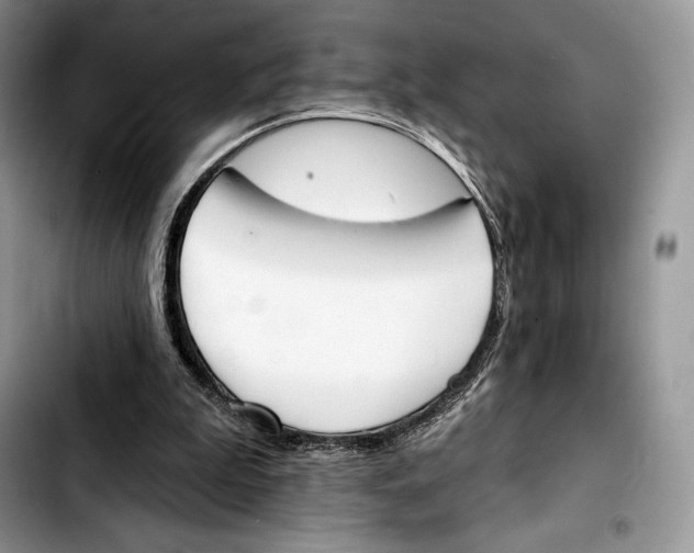 X0000103420199200810101026