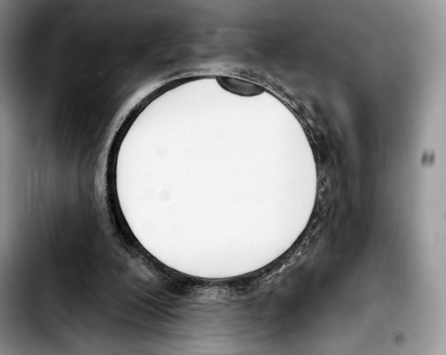 X0000103420200200810101026