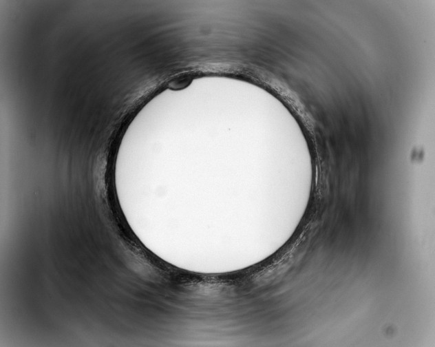 X0000103420201200810101026