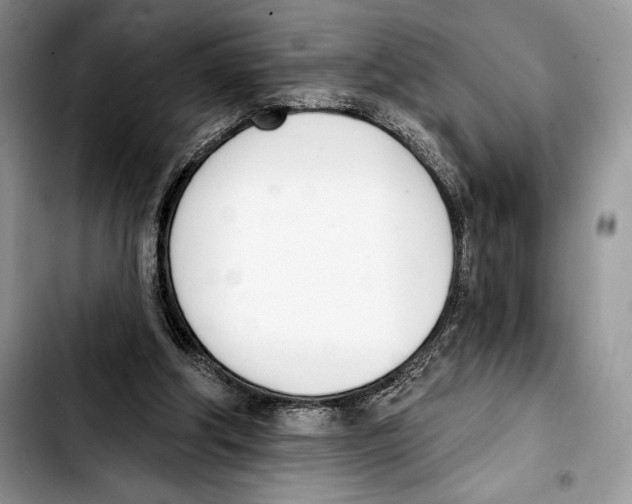 X0000103420202200810101026
