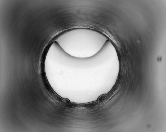 X0000103420203200810101026