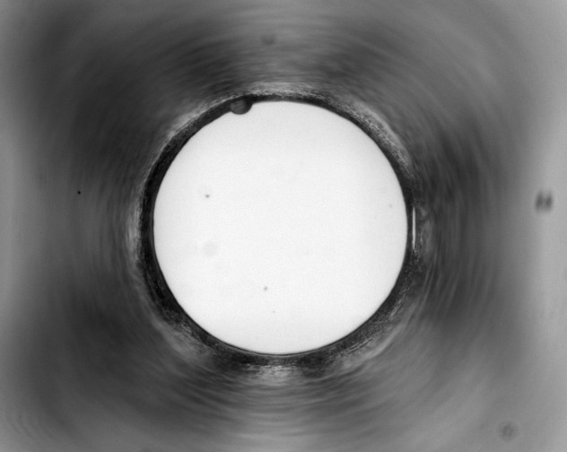 X0000103420204200810101026