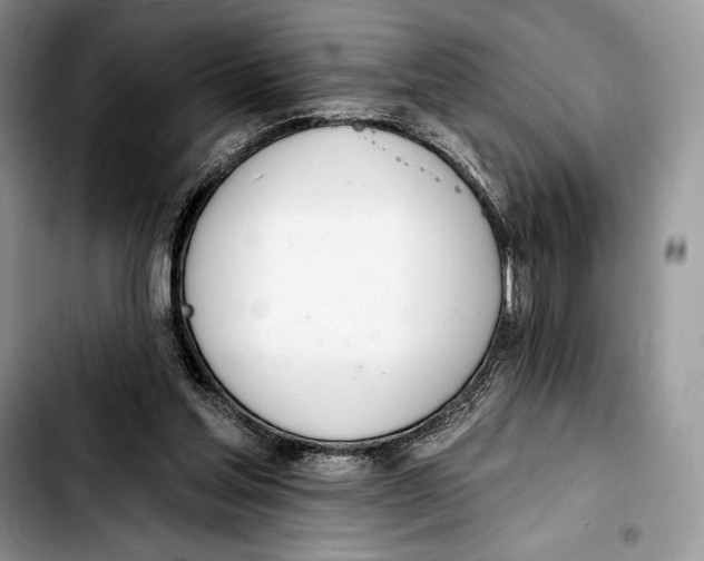 X0000103420205200810101026