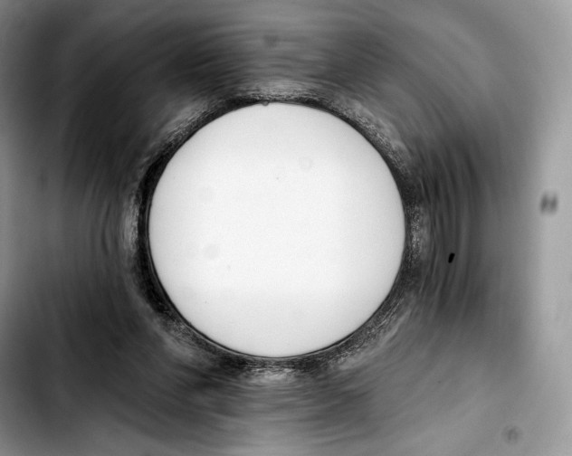 X0000103420206200810101026