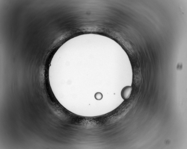 X0000103420207200810101026