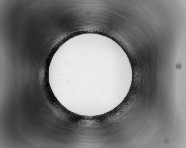 X0000103420208200810101026